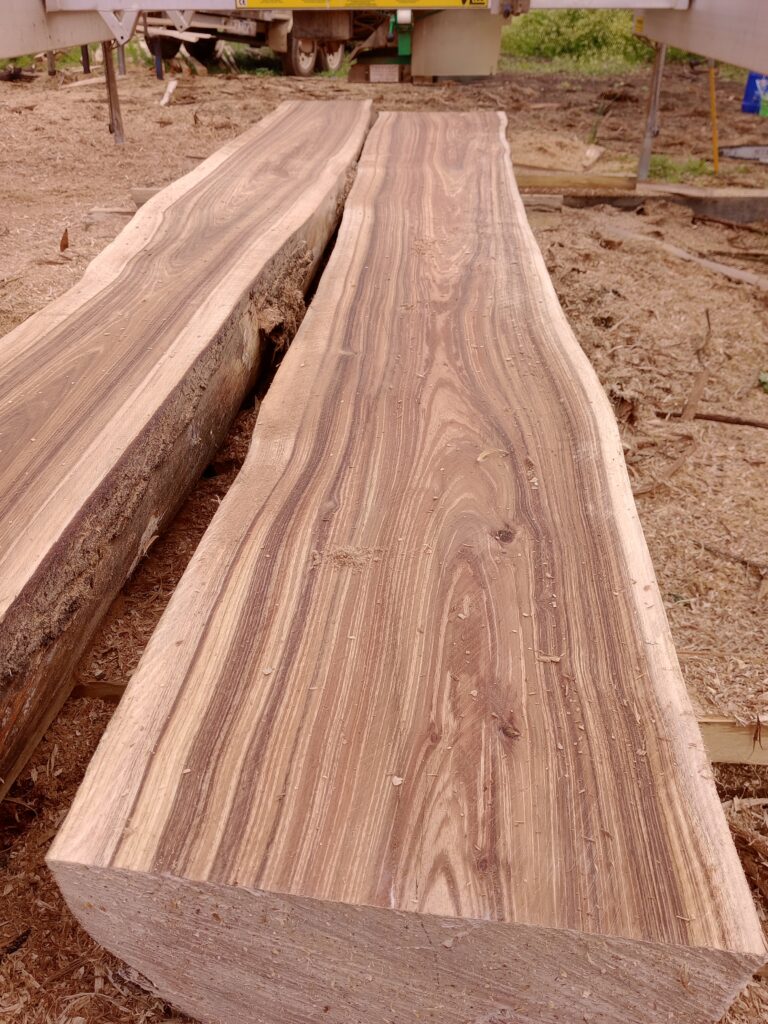 3 Beautiful Log 768x1024